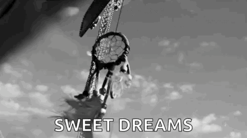 A Black And White Photo Of A Dream Catcher Hanging From A Tree With The Words `` Sweet Dreams '' Written Below It . GIF