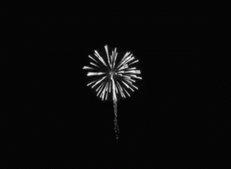 A Black And White Photo Of A Firework Display GIF
