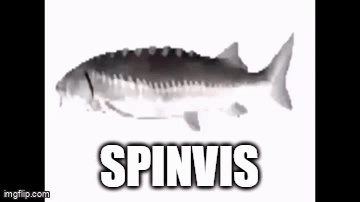 A Black And White Photo Of A Fish With The Name Spinvis Written On It . GIF