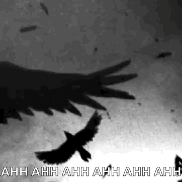 A Black And White Photo Of A Flock Of Birds Flying In The Sky GIF