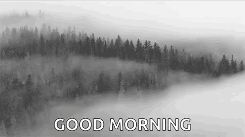 A Black And White Photo Of A Foggy Forest With The Words `` Good Morning '' GIF