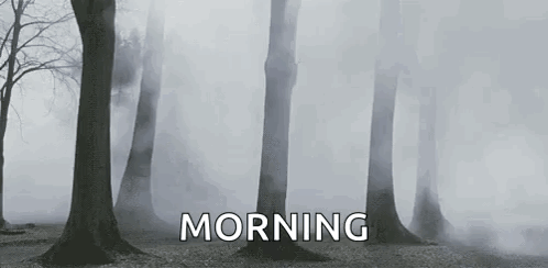 A Black And White Photo Of A Foggy Forest With The Words Morning Written On The Bottom Of The Photo . GIF