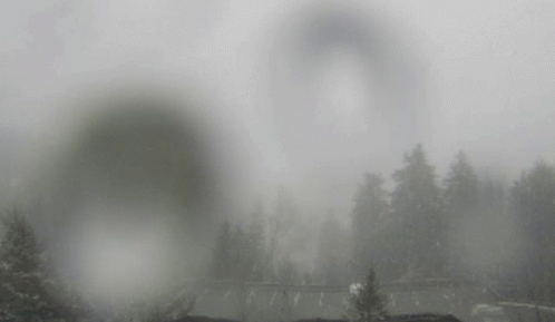 A Black And White Photo Of A Foggy Landscape GIF