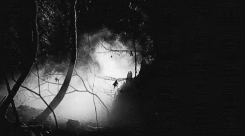 A Black And White Photo Of A Forest At Night With Trees Covered In Fog . GIF