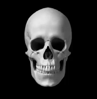 A Black And White Photo Of A Human Skull With Its Mouth Open And Teeth Showing . GIF