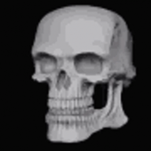 A Black And White Photo Of A Human Skull Without Teeth . GIF