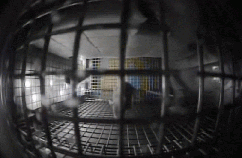 A Black And White Photo Of A Jail Cell With A Yellow And Blue Flag On The Wall GIF