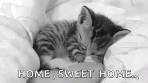 A Black And White Photo Of A Kitten Sleeping On A Bed With The Words `` Home , Sweet Home . '' GIF