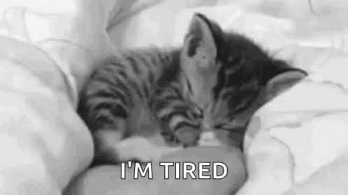 A Black And White Photo Of A Kitten Sleeping On Top Of A Bed . GIF