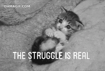 A Black And White Photo Of A Kitten With The Words " The Struggle Is Real " Above It GIF