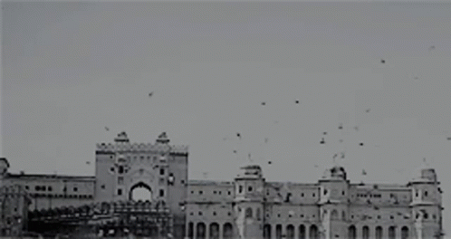 A Black And White Photo Of A Large Building With Birds Flying Around GIF