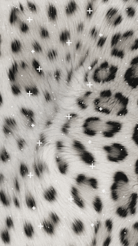 A Black And White Photo Of A Leopard Print With White Sparkles GIF