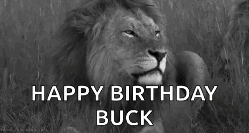 A Black And White Photo Of A Lion With The Words `` Happy Birthday Buck '' Written Above It . GIF