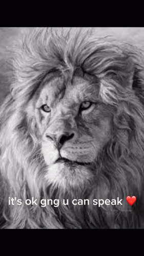 A Black And White Photo Of A Lion With The Words It 'S Ok Gng U Can Speak Above It GIF