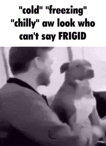 A Black And White Photo Of A Man And A Dog That Says " Cold " GIF