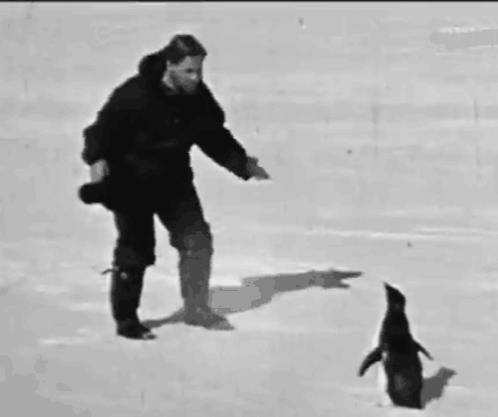 A Black And White Photo Of A Man And A Penguin In The Snow GIF