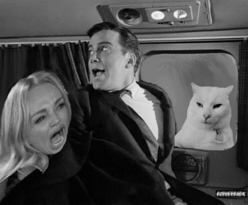 A Black And White Photo Of A Man And A Woman With A White Cat In The Back Seat GIF