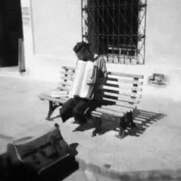 A Black And White Photo Of A Man Playing An Accordion On A Bench GIF