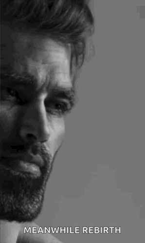 A Black And White Photo Of A Man With A Beard And The Words `` Meanwhile Rebirth '' Written Below Him . GIF
