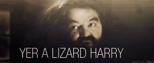a black and white photo of a man with a beard saying yer a lizard harry .