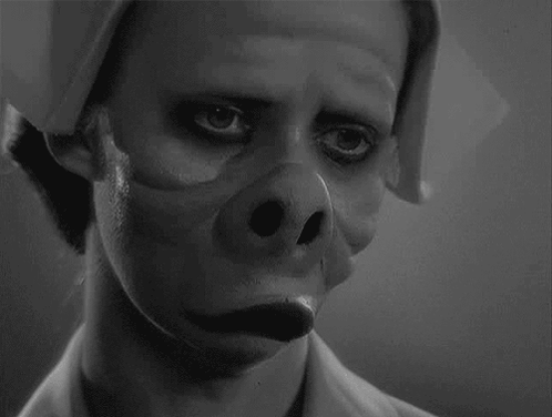 A Black And White Photo Of A Man With A Pig 'S Nose On His Face . GIF
