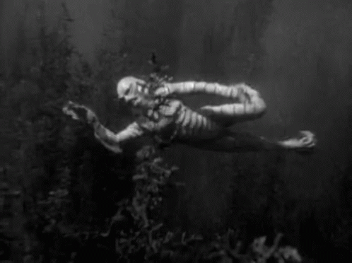 A Black And White Photo Of A Mummy Floating In The Water . GIF