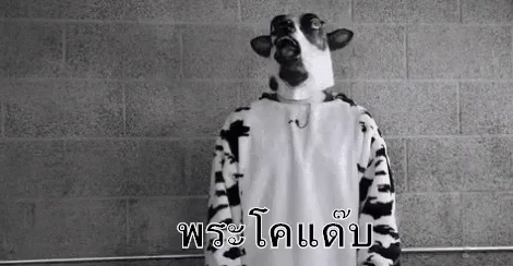 A Black And White Photo Of A Person Dressed As A Cow . GIF
