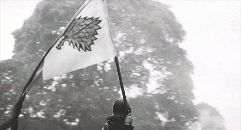A Black And White Photo Of A Person Holding A Flag With A Wolf On It GIF
