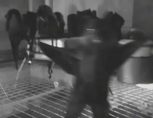 A Black And White Photo Of A Person Holding A Sword GIF
