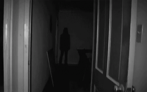 A Black And White Photo Of A Person In A Dark Room GIF