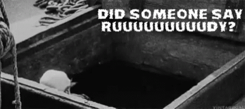 A Black And White Photo Of A Person Laying In A Box With The Words `` Did Someone Say Ruuuuuuudy '' . GIF