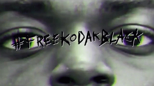 A Black And White Photo Of A Person 'S Eyes With The Words #Free Kodak Black Written Over Them GIF