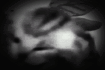 A Black And White Photo Of A Person 'S Face In The Dark GIF