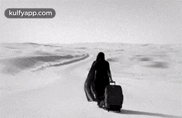 A Black And White Photo Of A Person Walking With A Suitcase . GIF