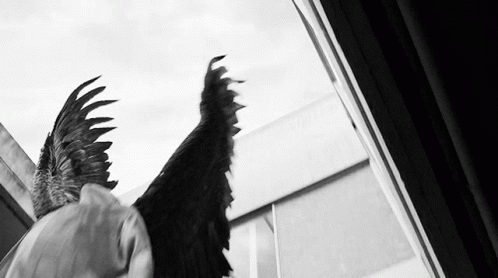 A Black And White Photo Of A Person With Wings Looking Out A Window GIF