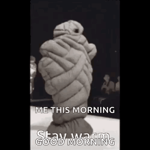 A Black And White Photo Of A Person Wrapped In A Sleeping Bag . GIF