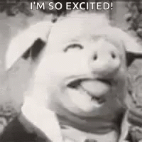 A Black And White Photo Of A Pig Wearing A Suit And Tie With Its Tongue Out . GIF