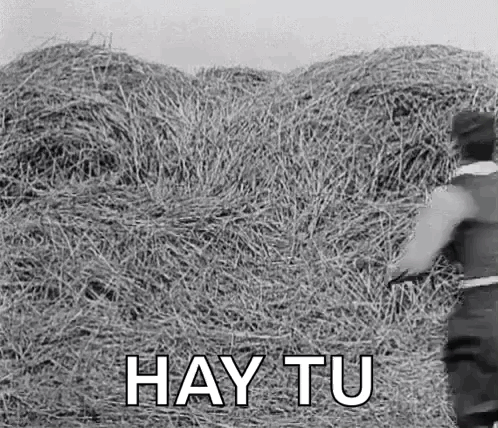 A Black And White Photo Of A Pile Of Hay With The Words `` Hay Tu '' Written On It . GIF