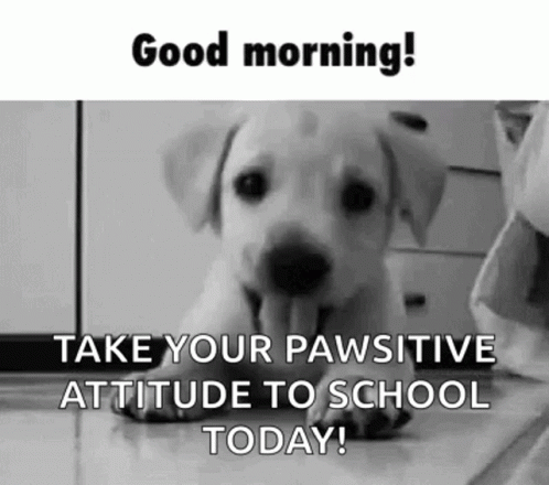 A Black And White Photo Of A Puppy With Its Tongue Out And The Words `` Good Morning ! `` GIF