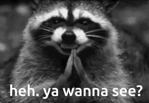 A Black And White Photo Of A Raccoon With The Words `` Heh , Ya Wanna See ? '' Written Below It . GIF