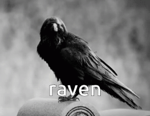 A Black And White Photo Of A Raven Sitting On A Stone Pillar GIF