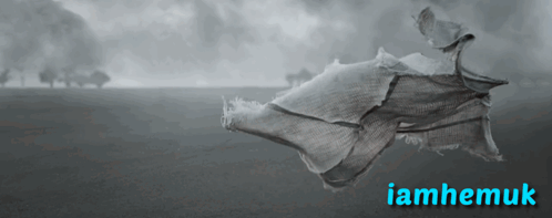 A Black And White Photo Of A Seahorse With The Name Iamhemuk Written Below It GIF