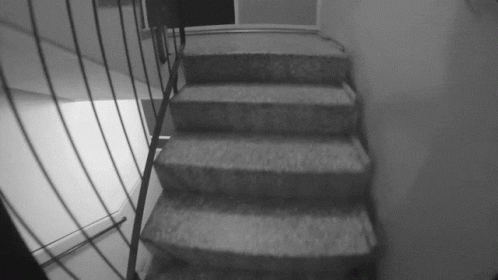 A Black And White Photo Of A Set Of Stairs With A Metal Railing GIF