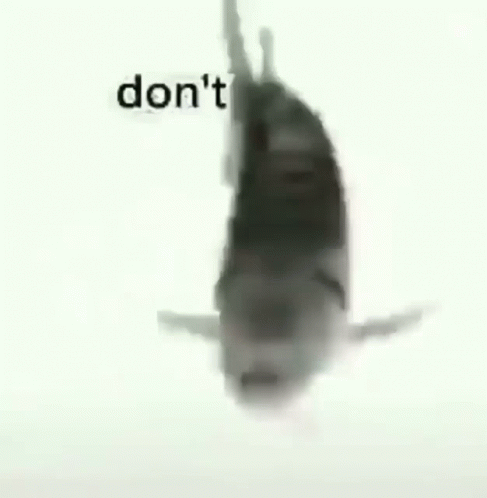 A Black And White Photo Of A Shark With The Words `` Don 'T Cry '' Written On It . GIF