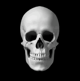 A Black And White Photo Of A Skull With Teeth GIF