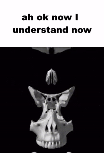 A Black And White Photo Of A Skull With The Words Ah Ok Now I Understand Now Below It GIF