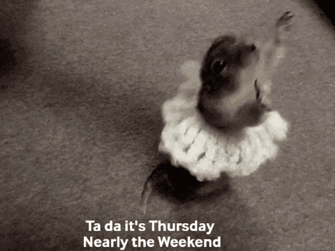 A Black And White Photo Of A Squirrel With The Words Ta Da It 'S Thursday Nearly The Weekend Above It GIF
