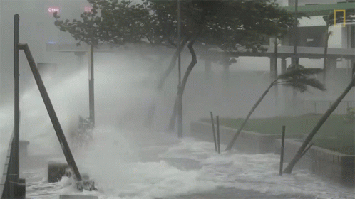 A Black And White Photo Of A Storm With A Yellow N On The Bottom Right GIF