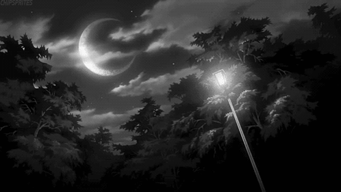A Black And White Photo Of A Street Light In A Dark Forest With A Crescent Moon In The Background . GIF