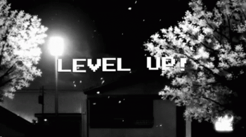 A Black And White Photo Of A Street Light With The Words Level Up On It GIF